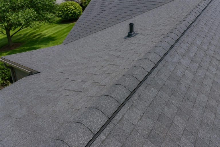 Roof Inspection